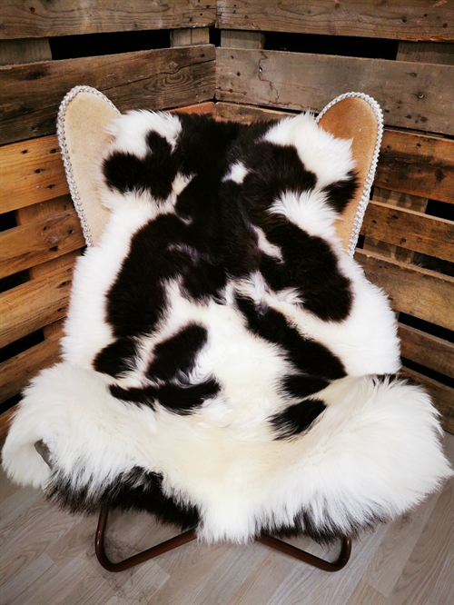 Lammeskind Europæisk Jacobsfår