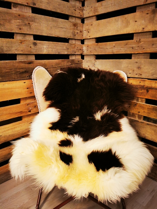 Lammeskind Europæisk Jacobsfår