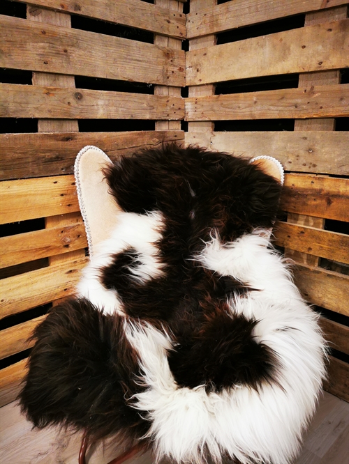 Lammeskind Europæisk Jacobsfår