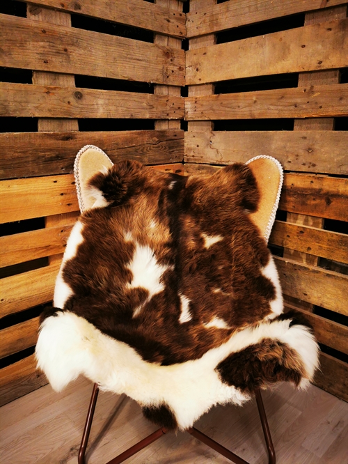 Lammeskind Europæisk Jacobsfår