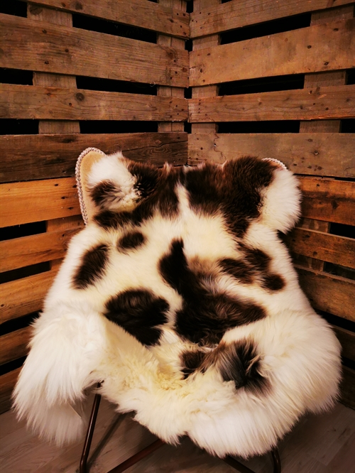 Lammeskind Europæisk Jacobsfår