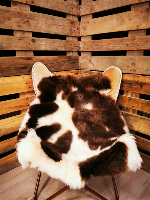 Lammeskind Europæisk Jacobsfår