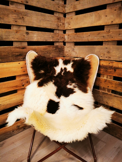 Lammeskind Europæisk Jacobsfår