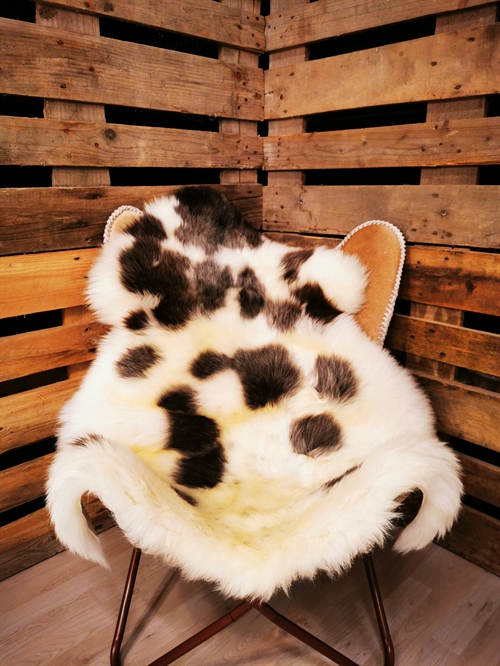 Lammeskind Europæisk Jacobsfår