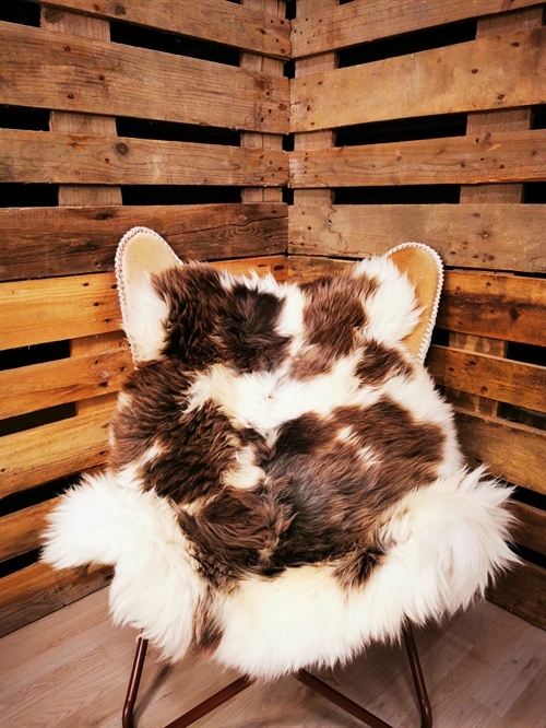 Lammeskind Europæisk Jacobsfår