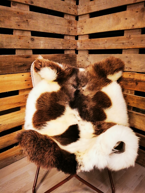 Lammeskind Europæisk Jacobsfår