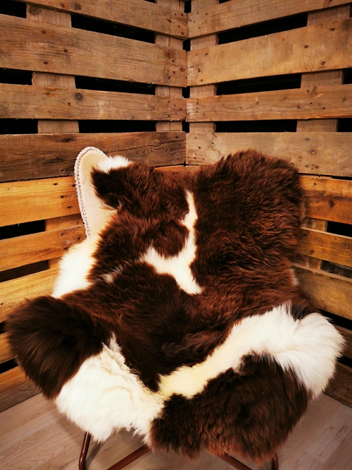 Lammeskind Europæisk Jacobsfår