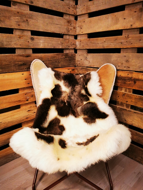 Lammeskind Europæisk Jacobsfår