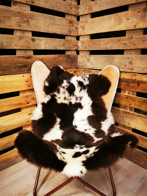 Lammeskind Europæisk Jacobsfår