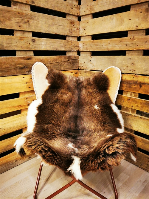 Lammeskind Europæisk Jacobsfår