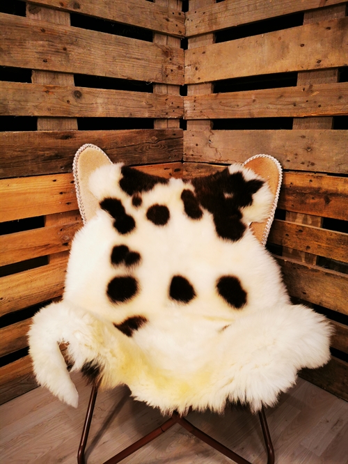 Lammeskind Europæisk Jacobsfår