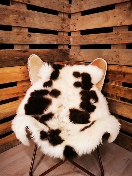 Lammeskind Europæisk Jacobsfår