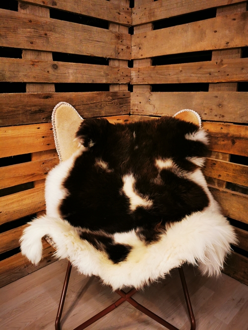 Lammeskind Europæisk Jacobsfår