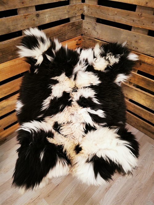 Lammeskind Europæisk Jacobsfår