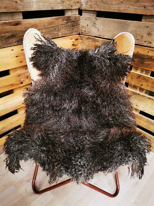 Lammeskind Gotlandsk