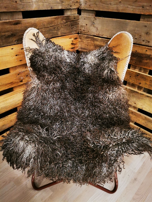 Lammeskind Gotlandsk