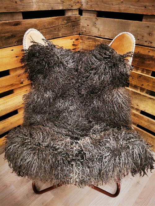 Lammeskind Gotlandsk