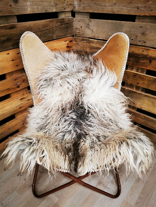 Lammeskind Grønland