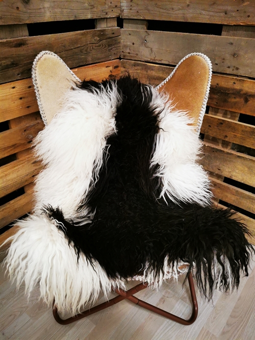 Lammeskind Grønland