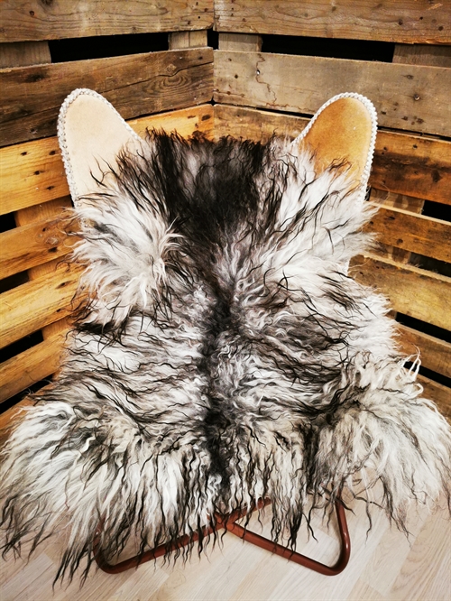 Lammeskind Grønland