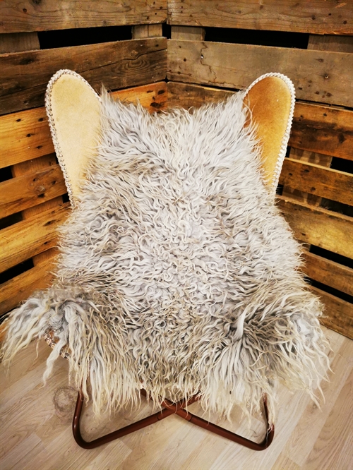 Lammeskind Grønland