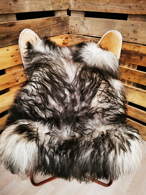 Lammeskind Grønland