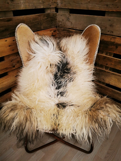 Lammeskind Grønland