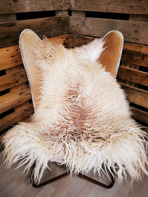 Lammeskind Grønland