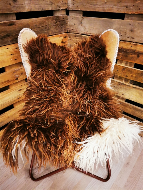 Lammeskind Grønland