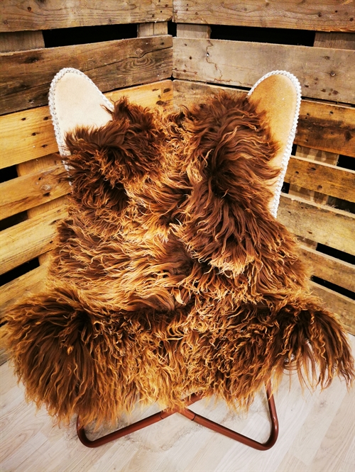 Lammeskind Grønland