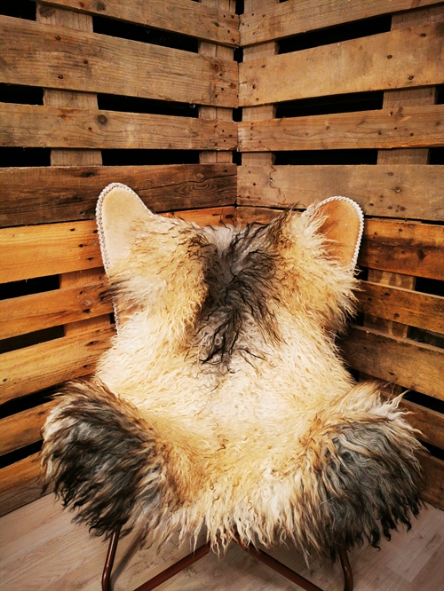 Lammeskind Grønlandsk