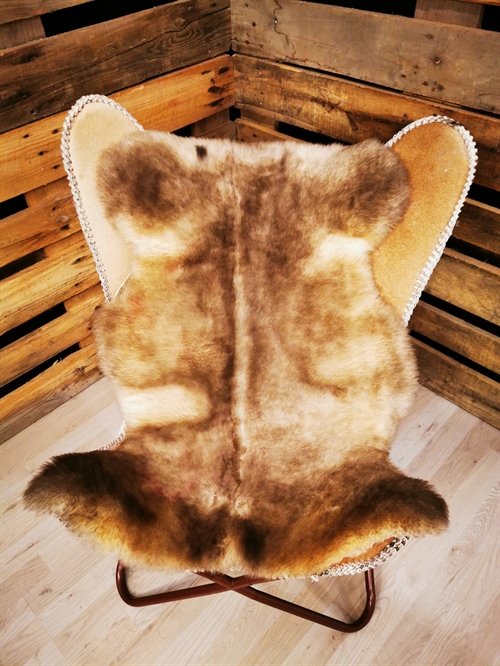 Lammeskind 2.Sortering