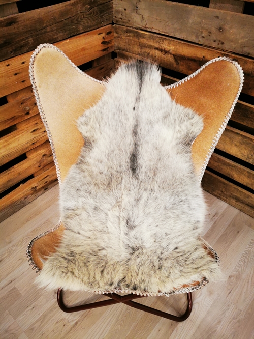 Lammeskind 2.Sortering