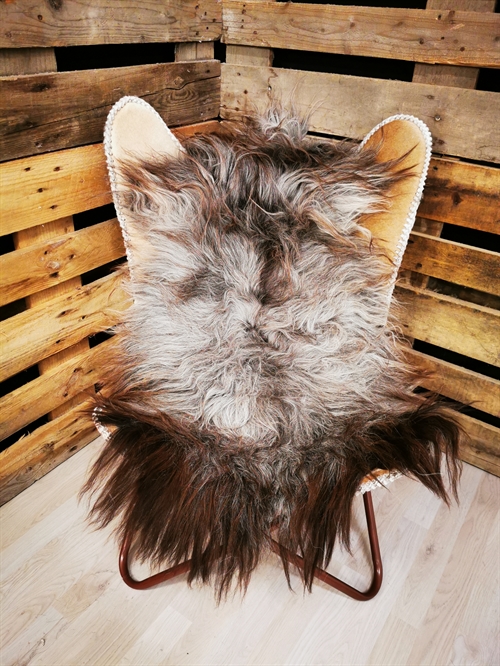 Lammeskind 2.Sortering