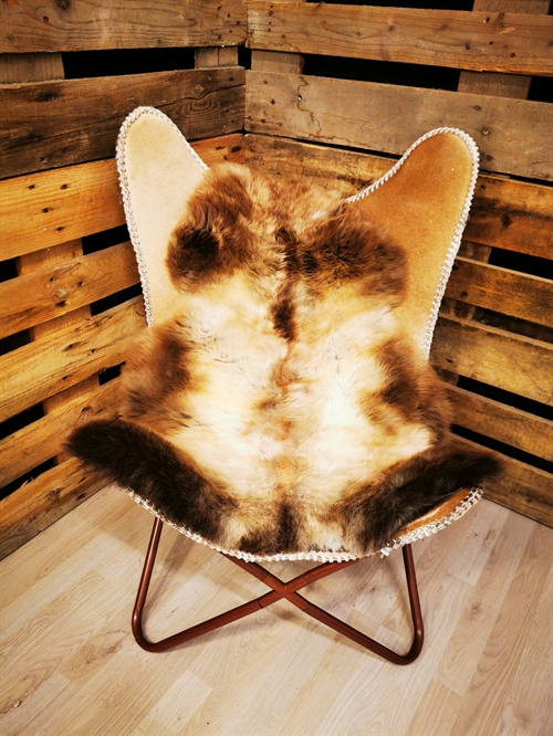 Lammeskind 2.Sortering