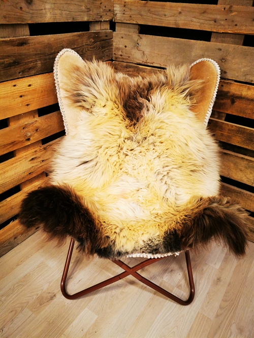 Lammeskind 2.Sortering