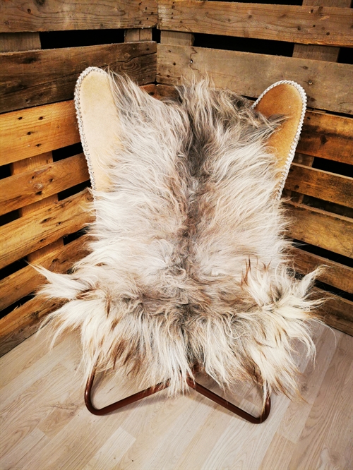 Lammeskind 2.Sortering