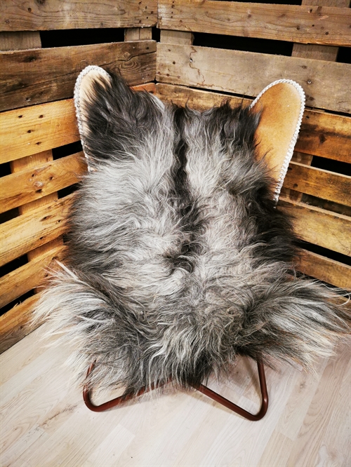 Lammeskind 2.Sortering