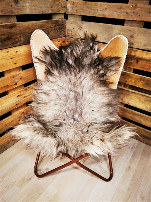 Lammeskind 2.Sortering