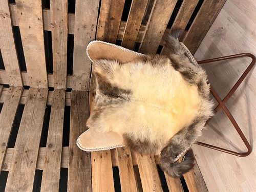 Lammeskind 2 sortering