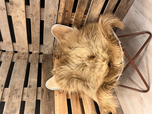 Lammeskind 2 sortering