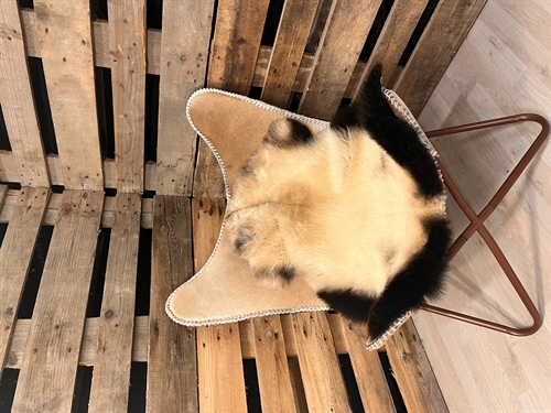 Lammeskind 2 sortering