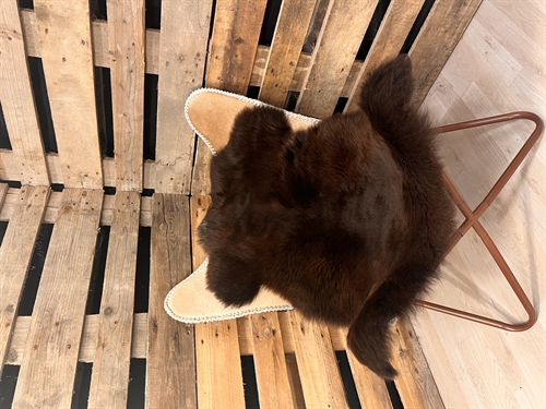 Lammeskind 2 sortering