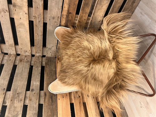 Lammeskind 2 sortering